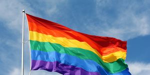 rainbow flag proudly waving