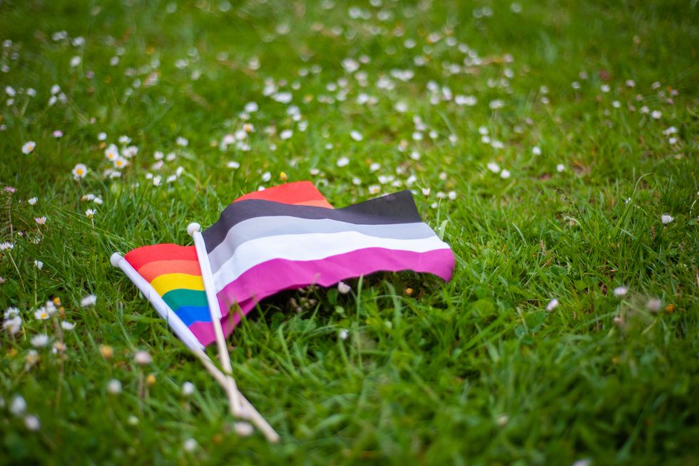 rainbow lgbtqia pride flag and asexual pride flag in grass and daises