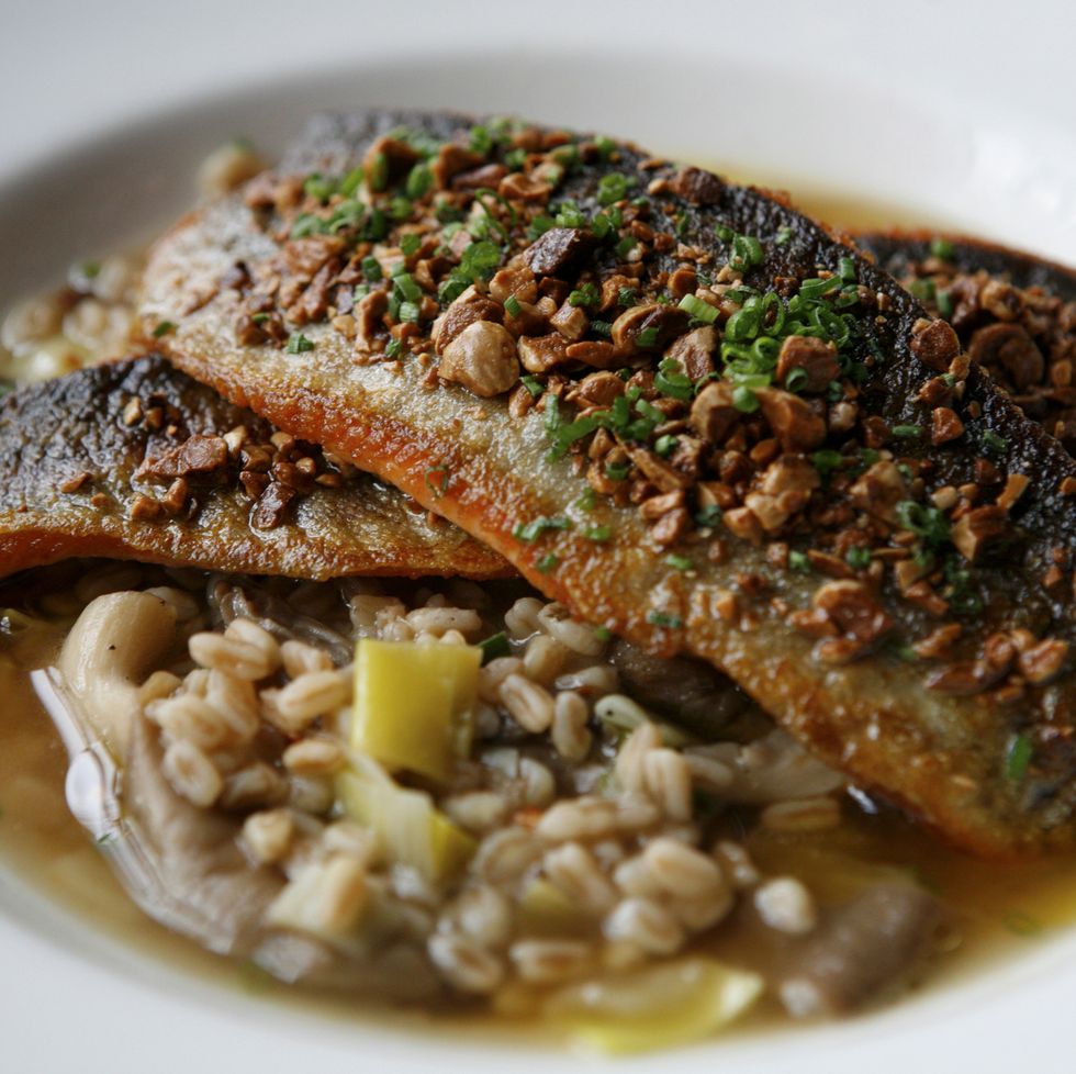 rainbow trout