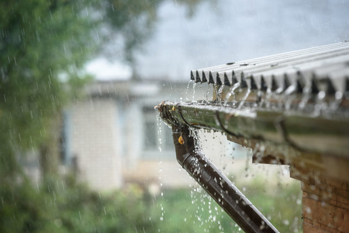 Rainwater Harvesting is Pinterest's Big Trend For 2023 — But What Is It?