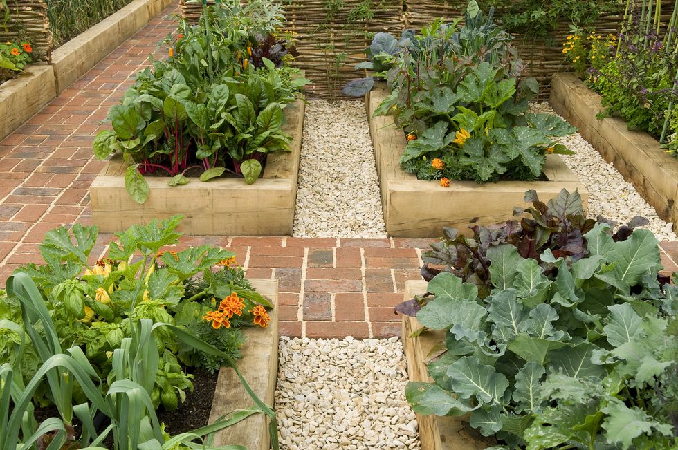 raised beds in potager garden