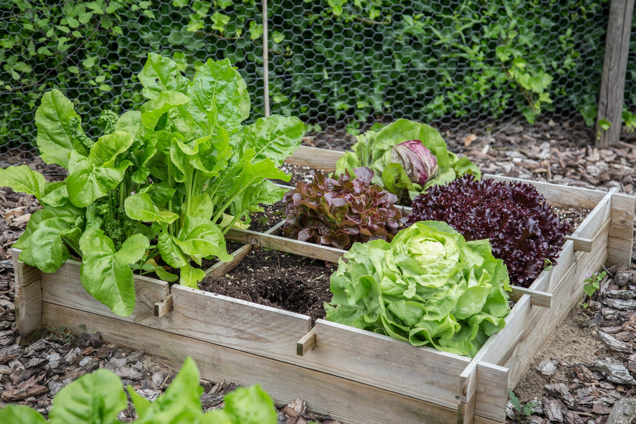 25 Best Raised Garden Bed Ideas and DIY Layouts