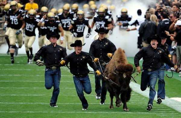 How These Colorado Students Learn to Run With a Buffalo