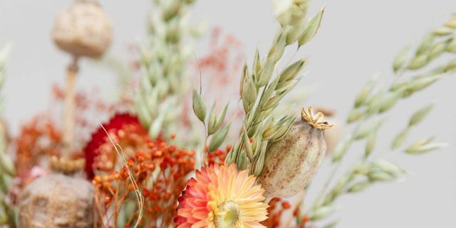 Ramo de hierba de Pampas, ramo de flores secas, relleno de jarrones, flores  secas, decoración de flores naturales, arreglo floral, centro de mesa  pequeño -  España