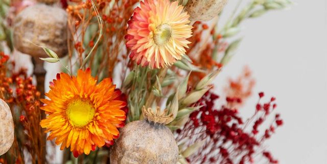 20 Ramos de flores secas o preservadas bonitos y decorativos