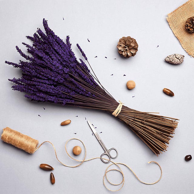 flores de lavanda preservadas