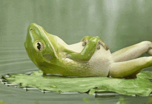 Rana respirando