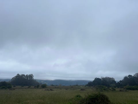 5 18, poem, temporality, stephen ratcliffe