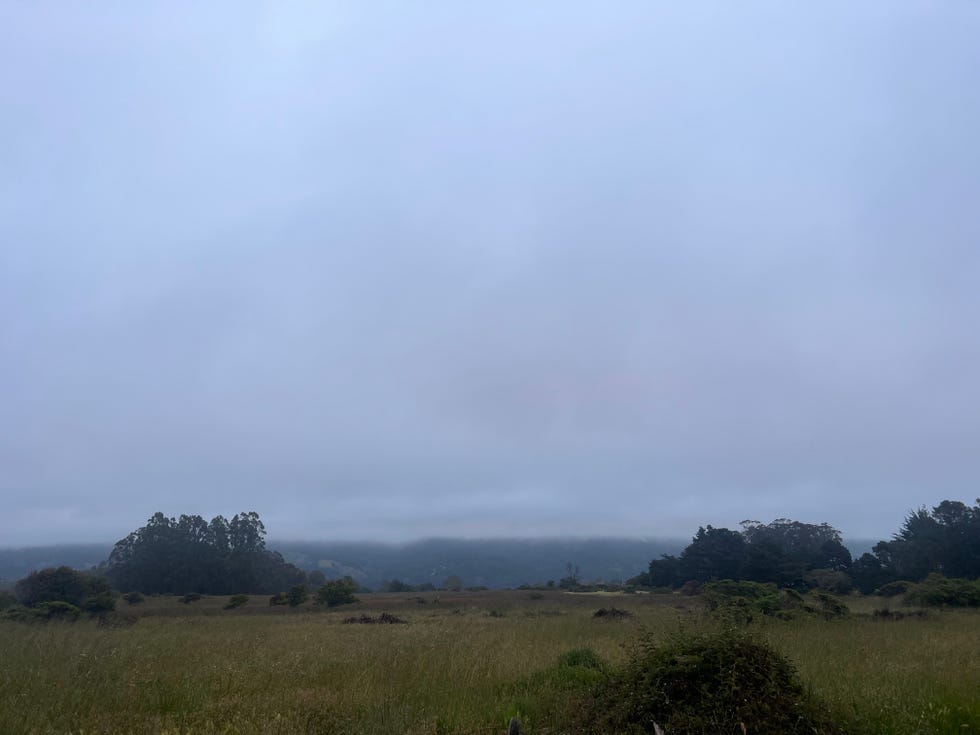 5 20, poem, temporality, stephen ratcliffe