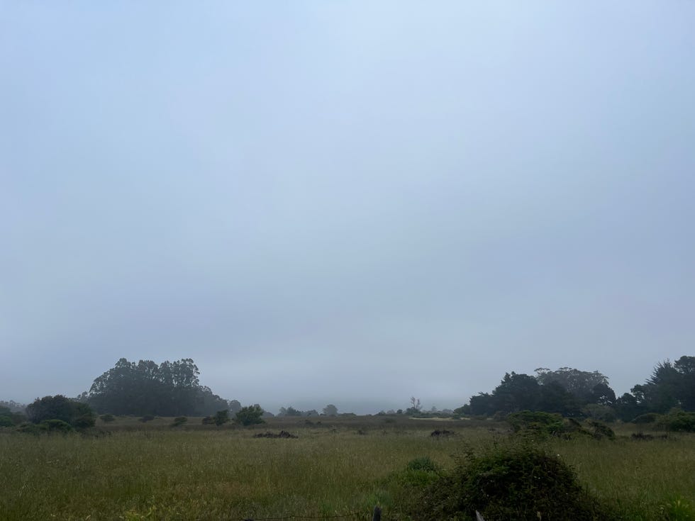 5 22, poem, temporality, stephen ratcliffe