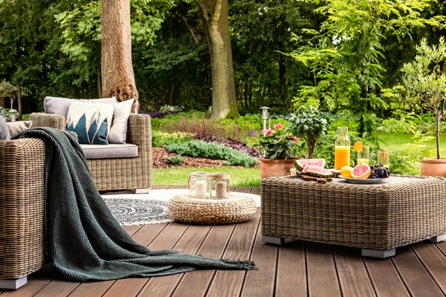 best trees for privacy