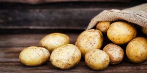 raw fresh potatoes in the sack on wooden background