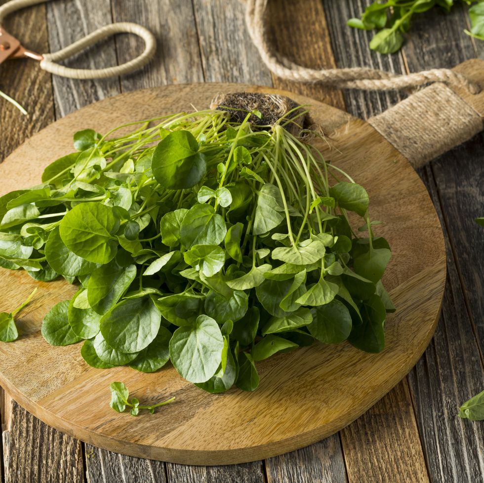 raw green organic living water cress