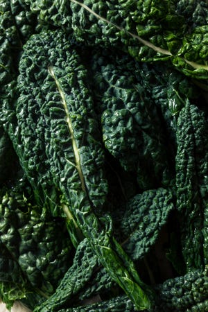 cavolo nero