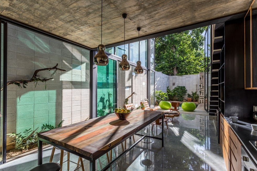 Raw House: La casa desnuda