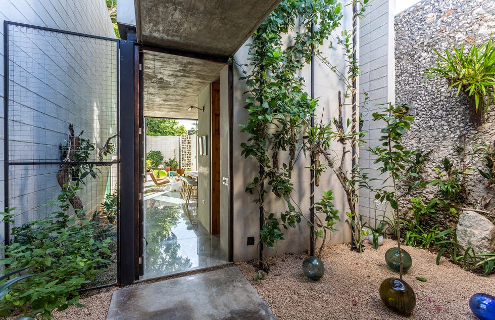 Raw House: La casa desnuda