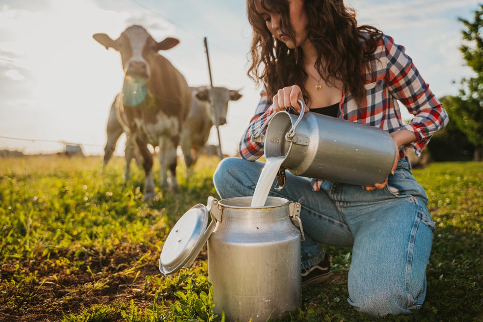 young woman pouring raw milk into container with cows behind her