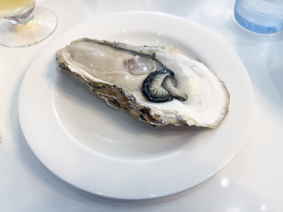 raw oyster in white plate