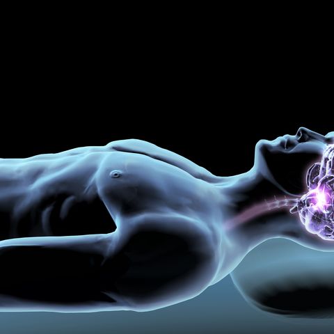 x ray view of a man dreaming with view of brain and spinal cord