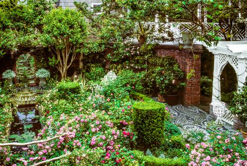 Kathy Rayner's Hamptons garden