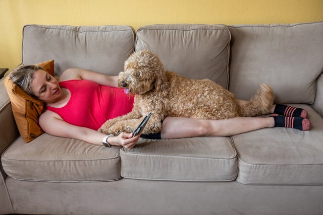 reading a book with goldendoodle at home