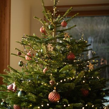 4 cheap and easy hacks to remove christmas tree sap stains