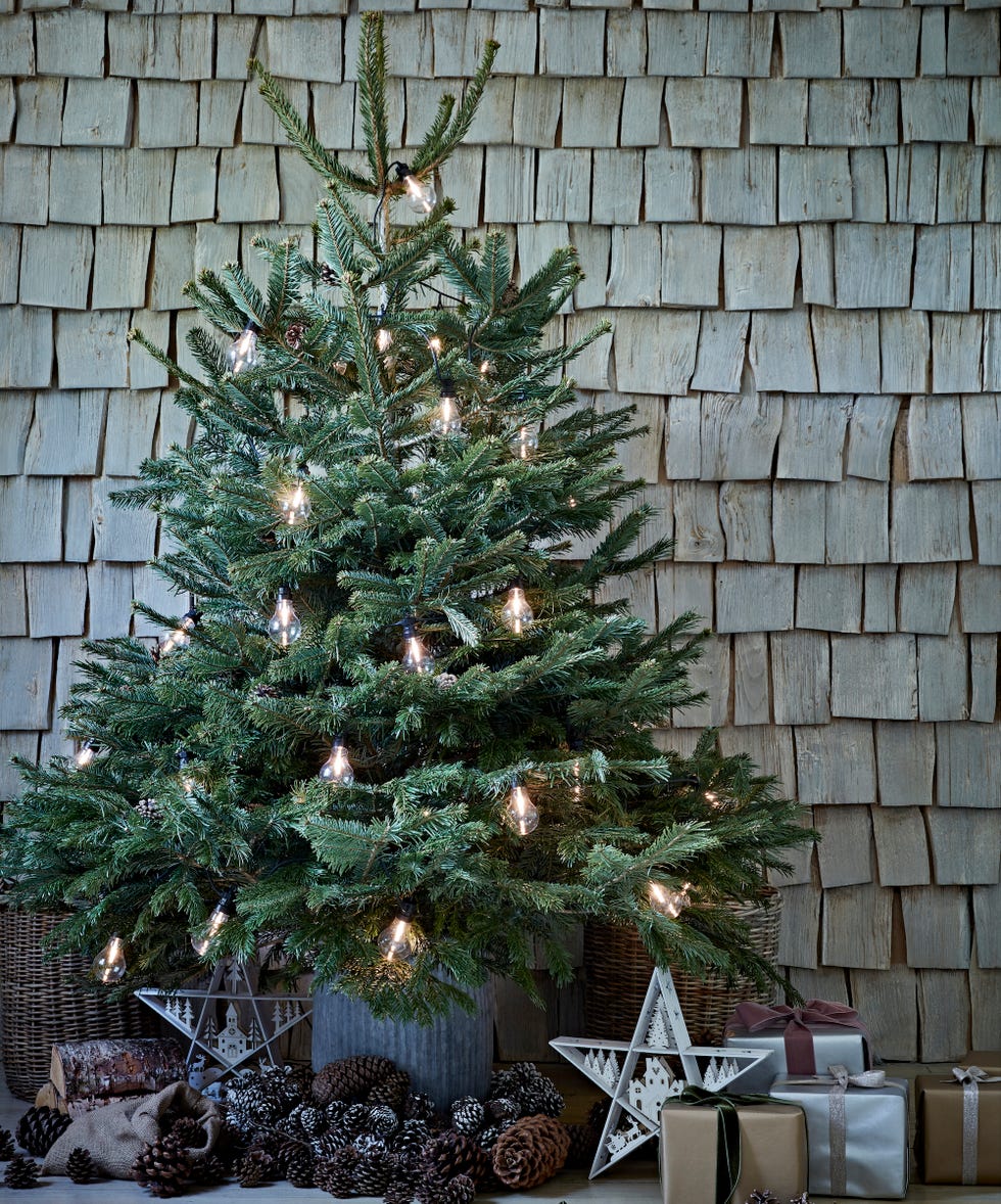 The ultimate guide to buying a real Christmas tree - Los Angeles Times