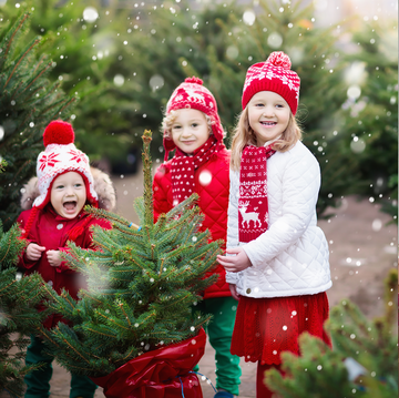 a group of kids pick out a real christmas tree to buy juxtaposed with a fake pink christmas tree