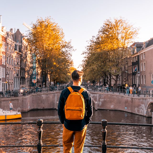 rear view of a man looking at amsterdam canal on a sunny day, netherlands