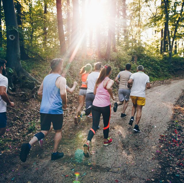 rear view of athletes running a marathon through the forest.