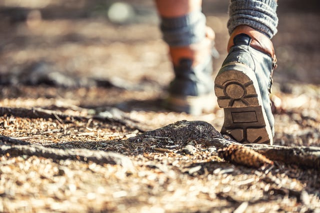 https://hips.hearstapps.com/hmg-prod/images/rear-view-of-hikers-man-or-woman-with-boots-walking-royalty-free-image-1731606732.jpg?crop=1xw:0.75035xh;center,top&resize=640:*