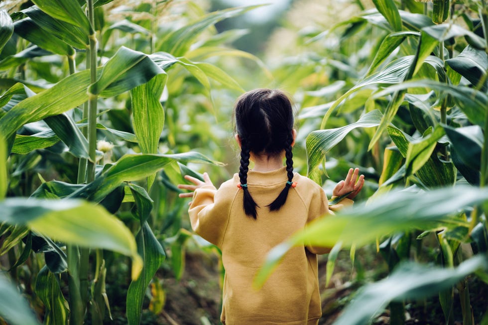 niña pequeña andando entre plantas