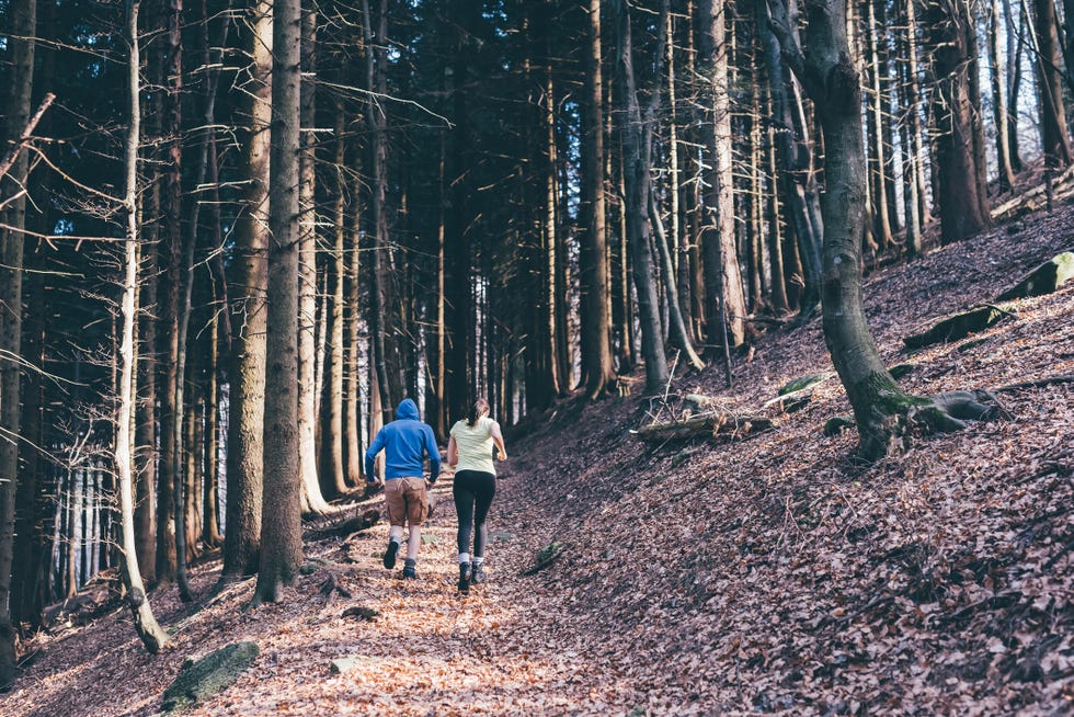 rear view of running couple running on forest trail, monte san primo, italy