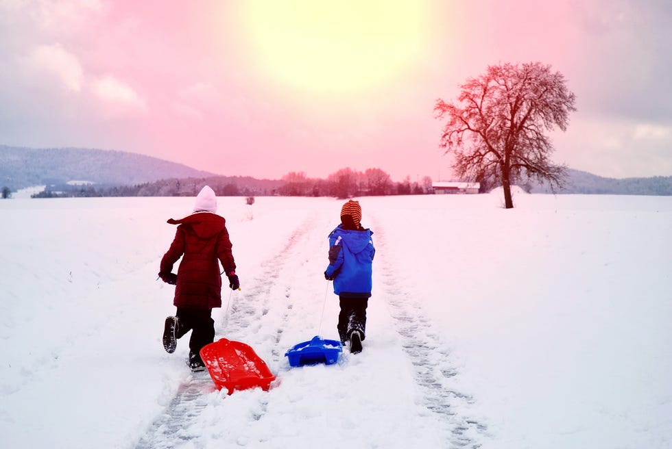 rear view of siblings with sled running on snow against sky