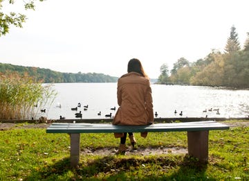 rear view of woman sitting on bench at lakeshore