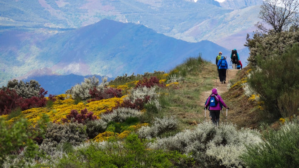 senderistas en el camino de santiago