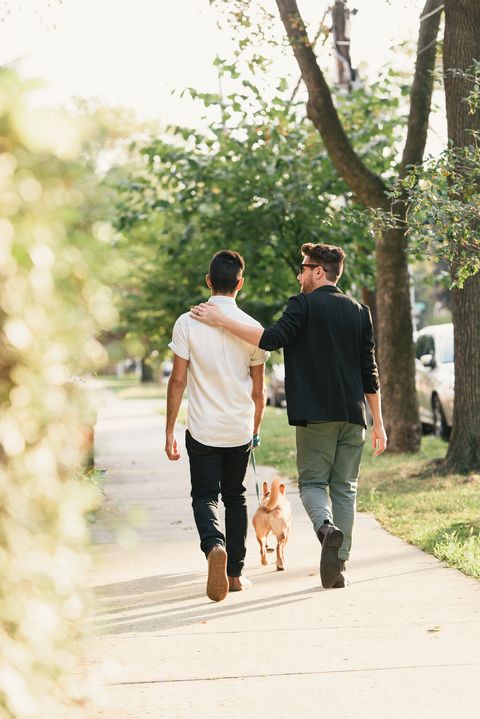 rear view of young male couple walking dog on suburban sidewalk