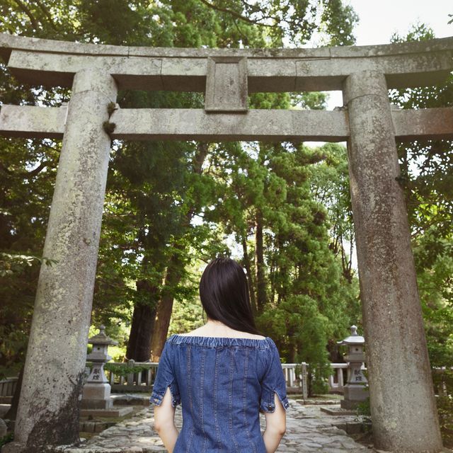 rear view of young woman wearing blue dress standing at shinto sakurai shrine, fukuoka, japan