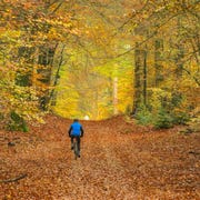 fall cycling