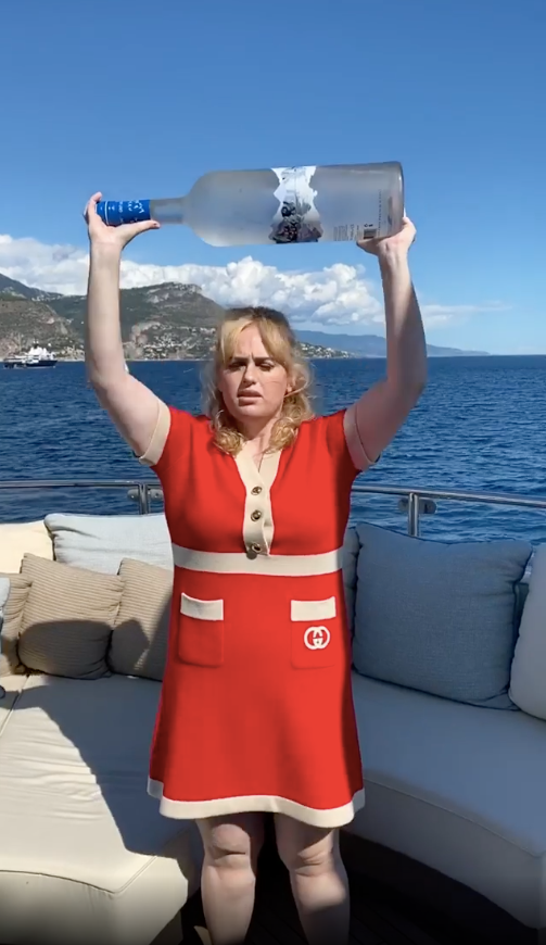 Rebel Wilson just trolled followers with this joke about her