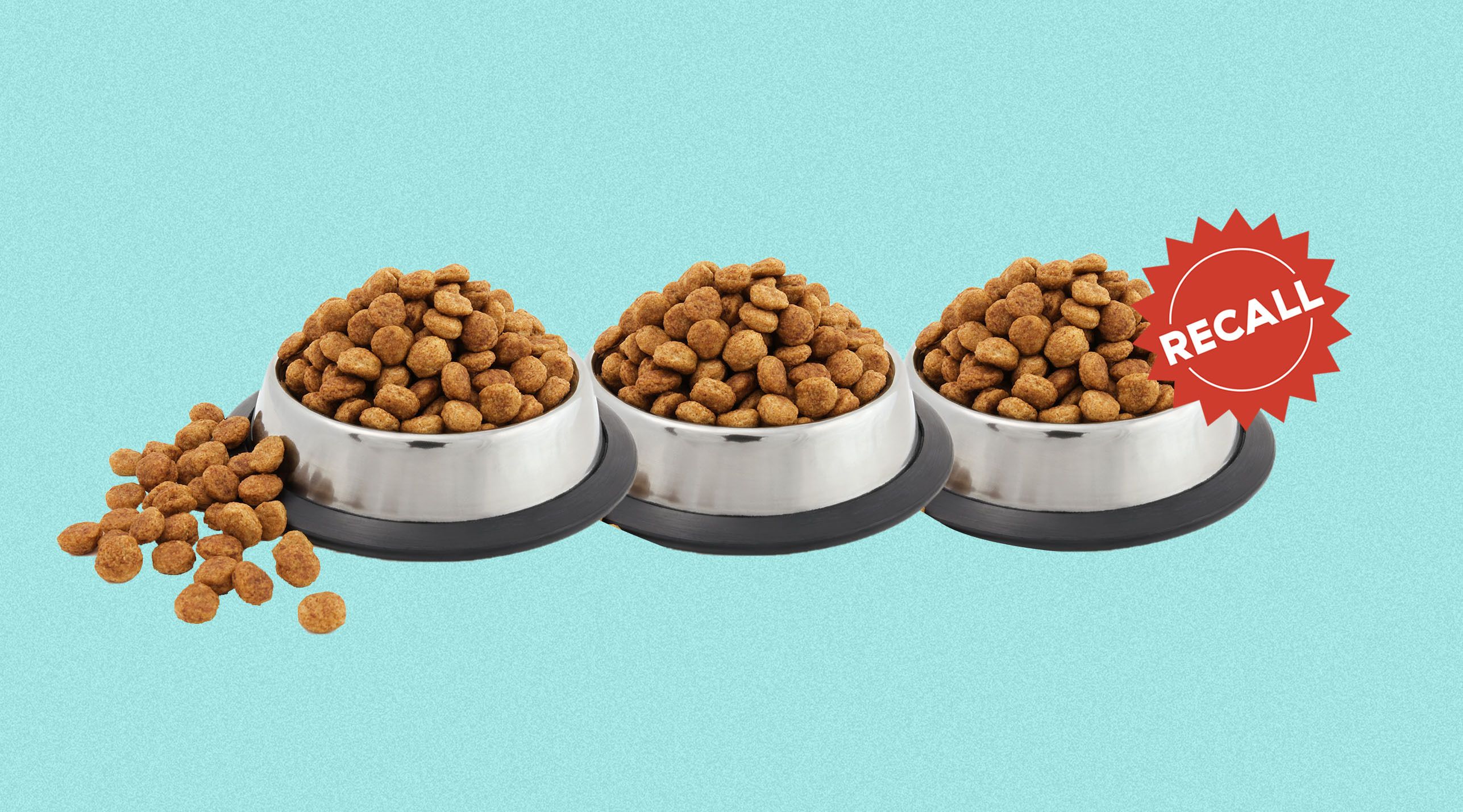 which brands of dog food have been recalled
