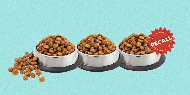 A Pet Food Manufacturer Is Recalling Several Products