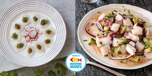 recetas de corvina