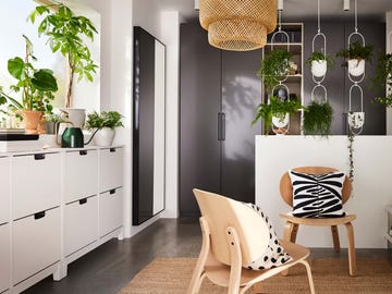 recibidor decorado con plantas