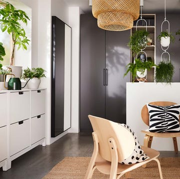 Recibidor decorado con plantas recibidor decorado con plantas