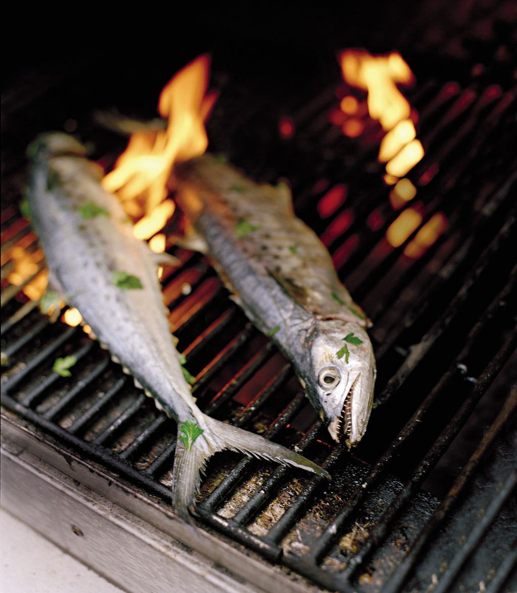 Food, Seafood, Barbecue grill, Light, Fish, Fish, Gas, Cuisine, Cooking, Fish products, 