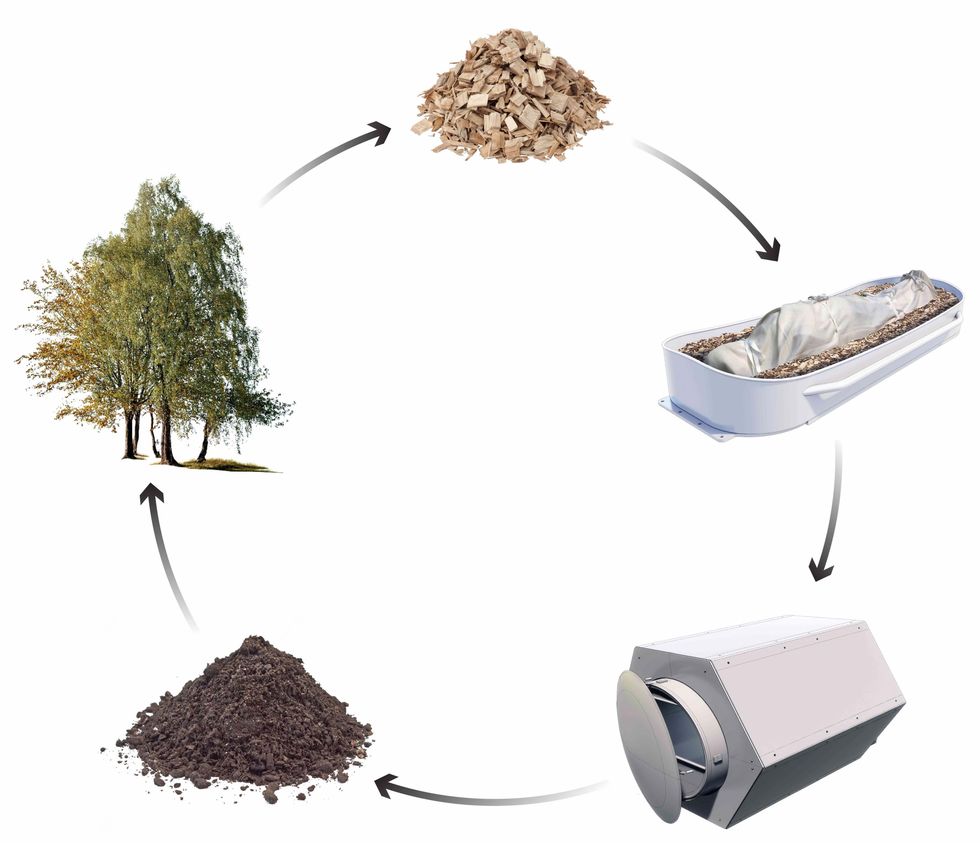 diagram of human composting cycle with nature