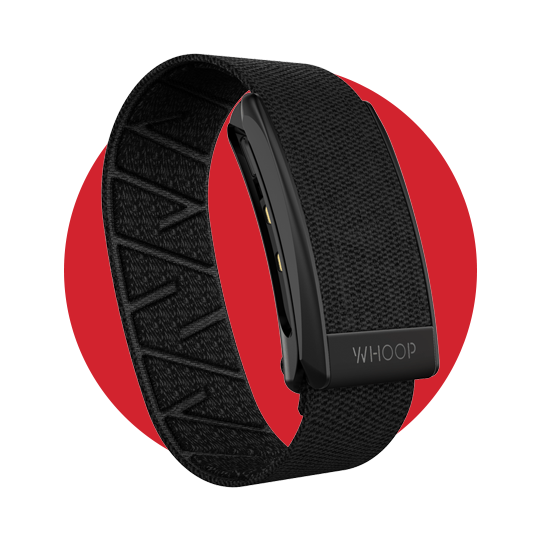 Red, Belt buckle, Strap, Belt, Buckle, Fashion accessory, Bracelet, Wristband, 