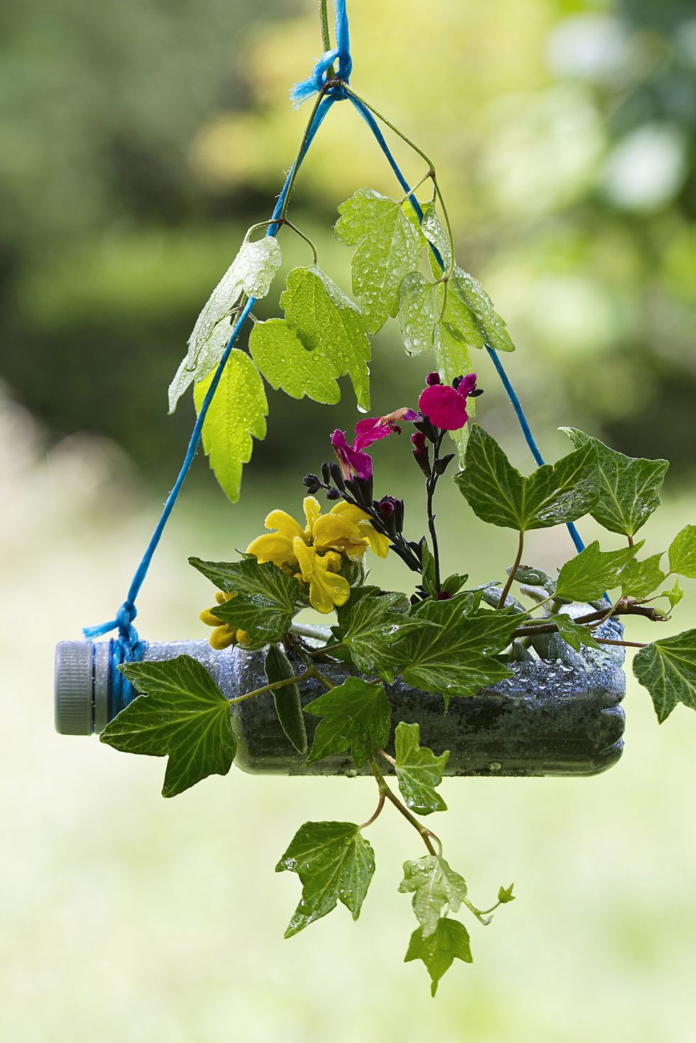 Recycing gardening crafts