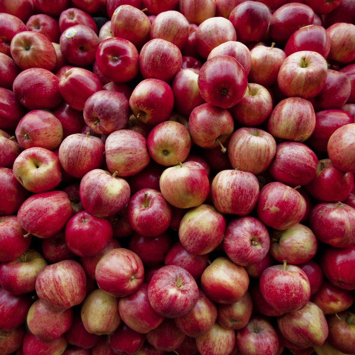 red apples lay in a pile at a fruit stand in maryland, usa